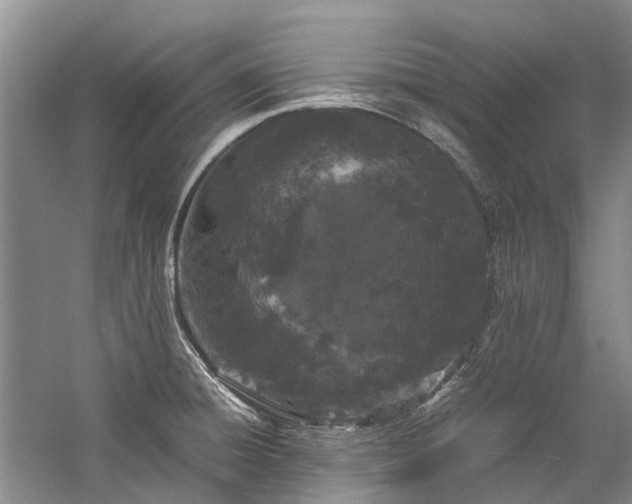 X0000060261428200510281154