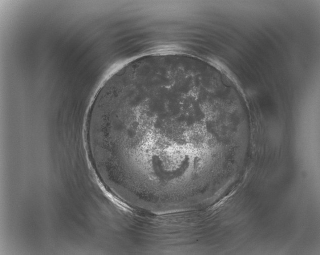 X0000060261429200510281154