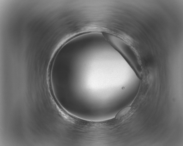 X0000060261430200510281154