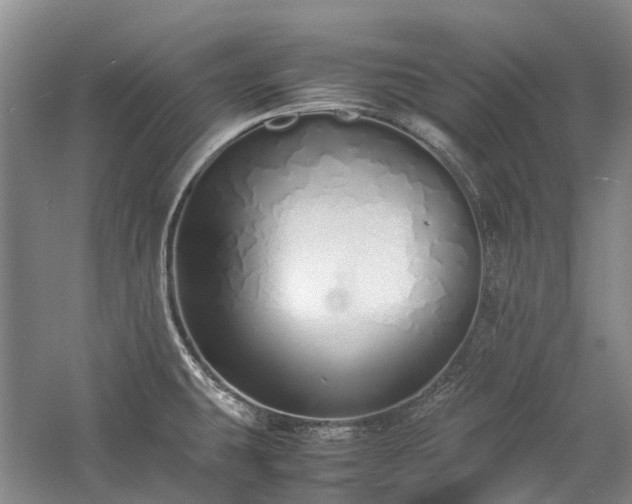 X0000060261431200510281154