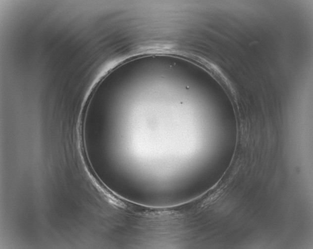 X0000060261432200510281154