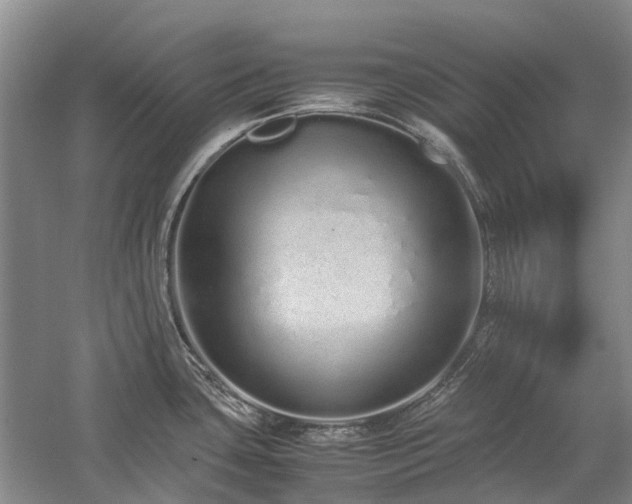 X0000060261435200510281154