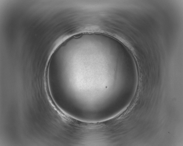 X0000060261440200510281154