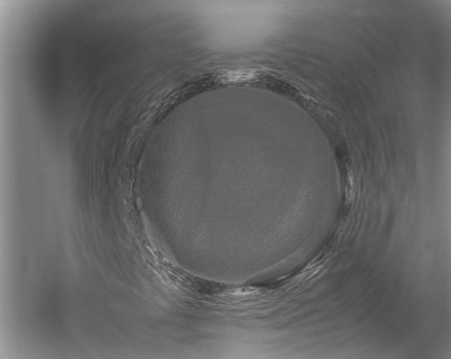 X0000060261441200510281153