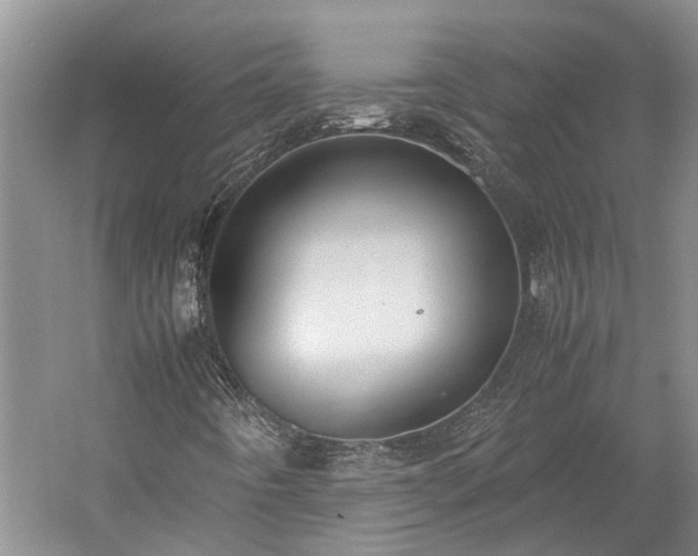 X0000060261442200510281153