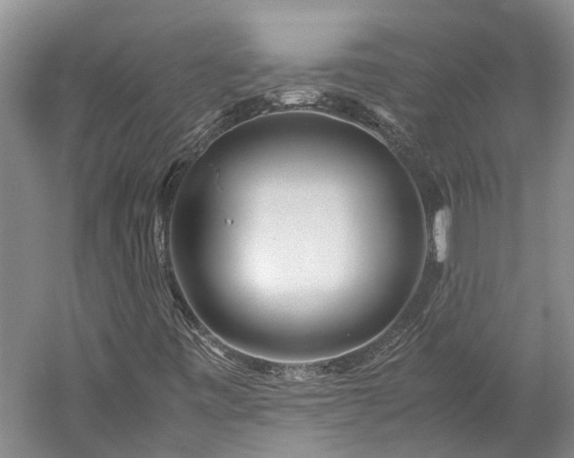 X0000060261443200510281153