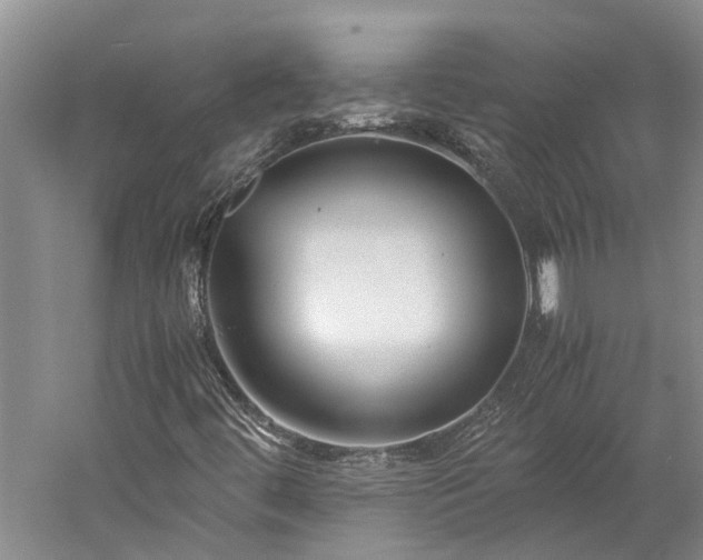 X0000060261444200510281153