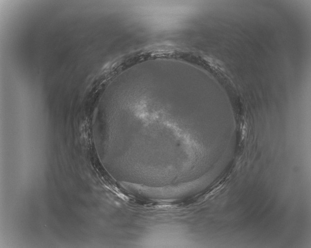 X0000060261445200510281153