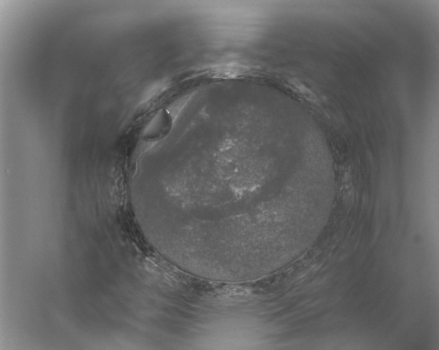 X0000060261446200510281153