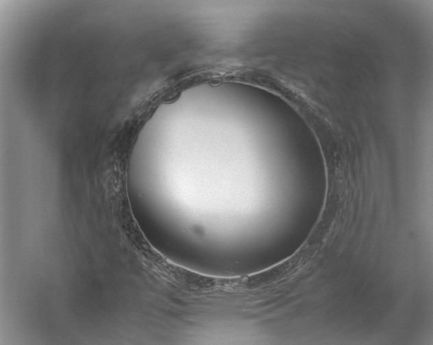 X0000060261447200510281153