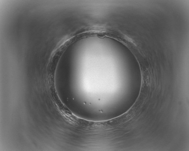 X0000060261448200510281153