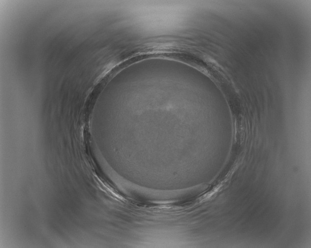 X0000060261449200510281153