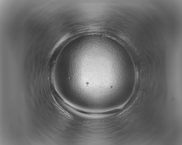 X0000060261450200510281153