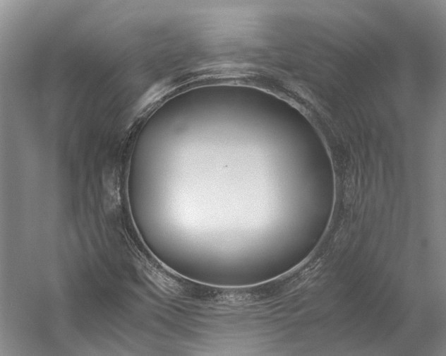 X0000060261451200510281153