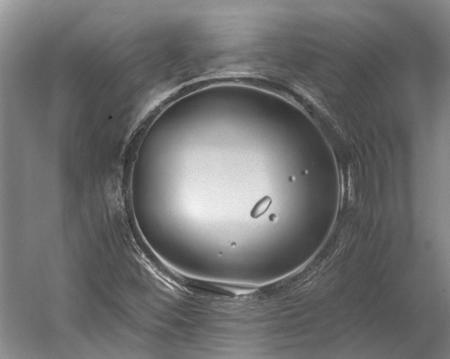 X0000060261452200510281153