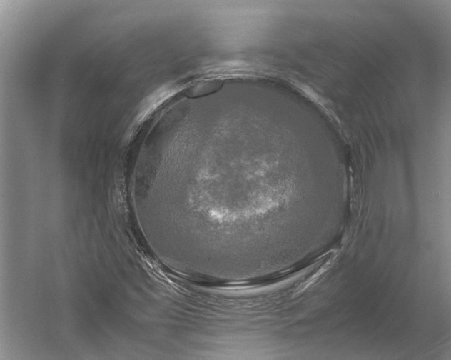 X0000060261453200510281153