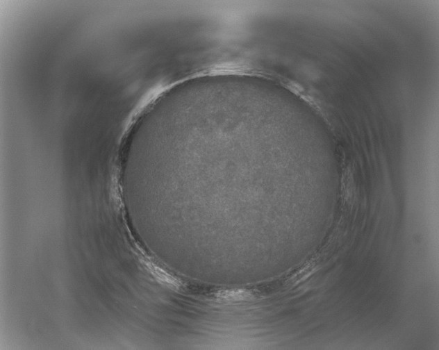 X0000060261454200510281153