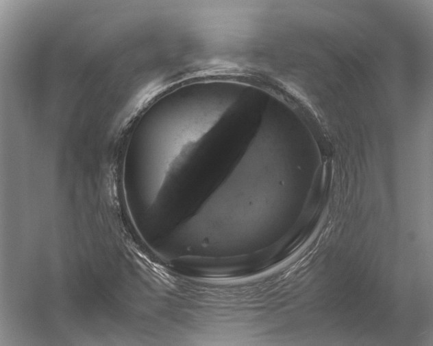 X0000060261455200510281153