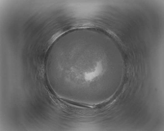 X0000060261457200510281153