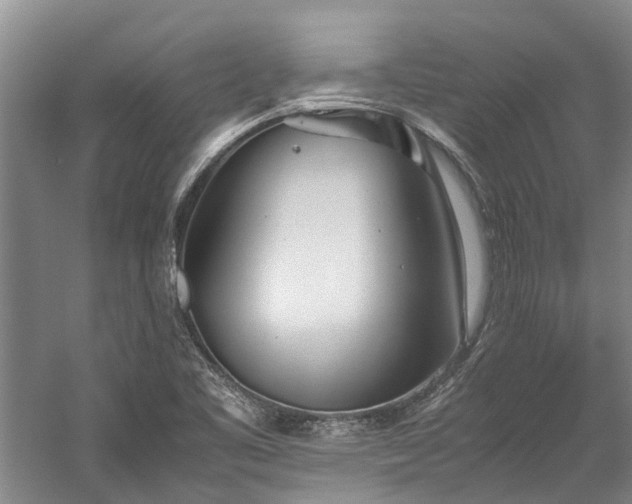 X0000060261461200510281153