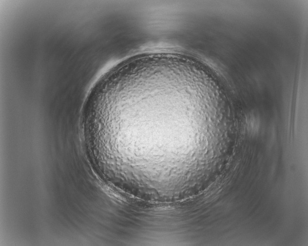 X0000060261462200510281153