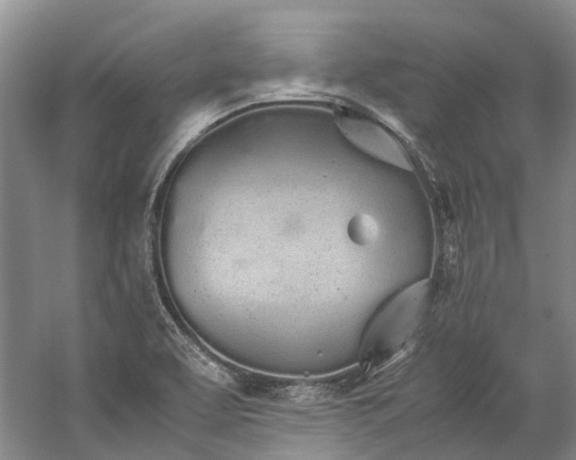 X0000060261463200510281153