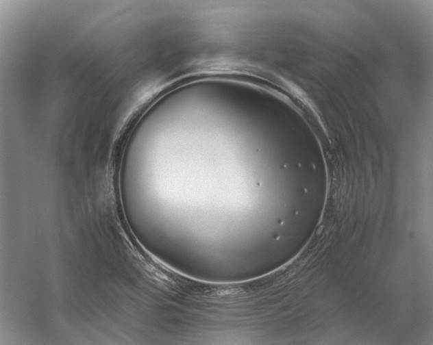 X0000060261464200510281153