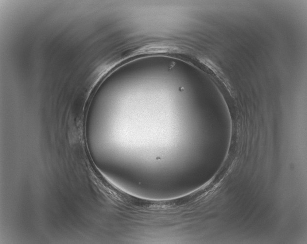 X0000060261465200510281153