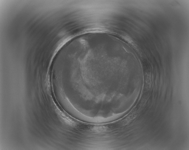 X0000060261466200510281153