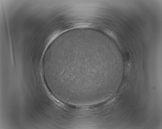 X0000060261467200510281153