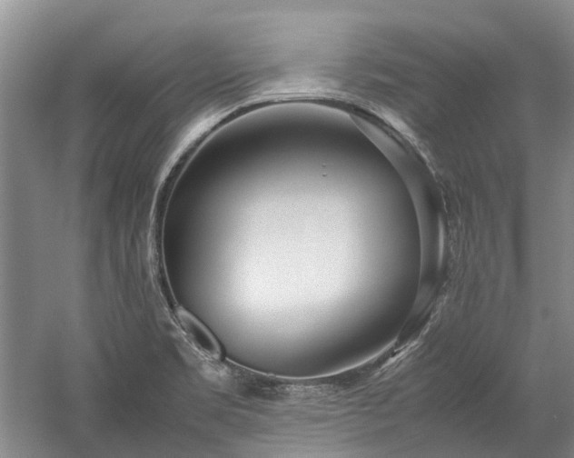 X0000060261469200510281153