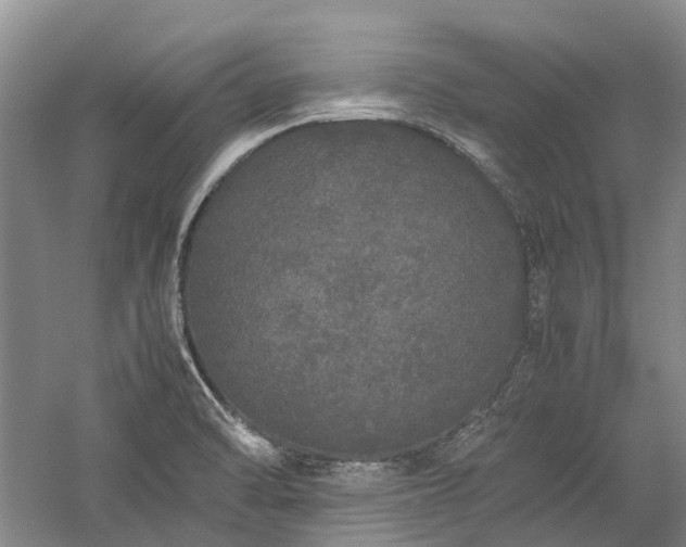 X0000060261470200510281153