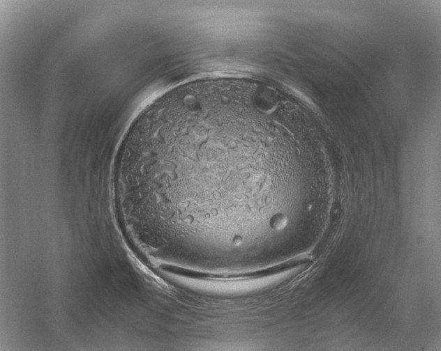 X0000060261471200510281153