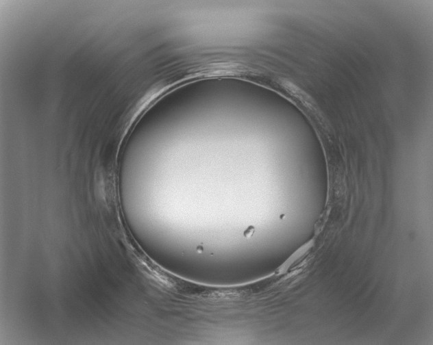 X0000060261473200510281153