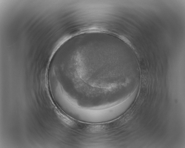 X0000060261474200510281152