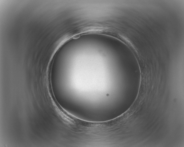 X0000060261475200510281152