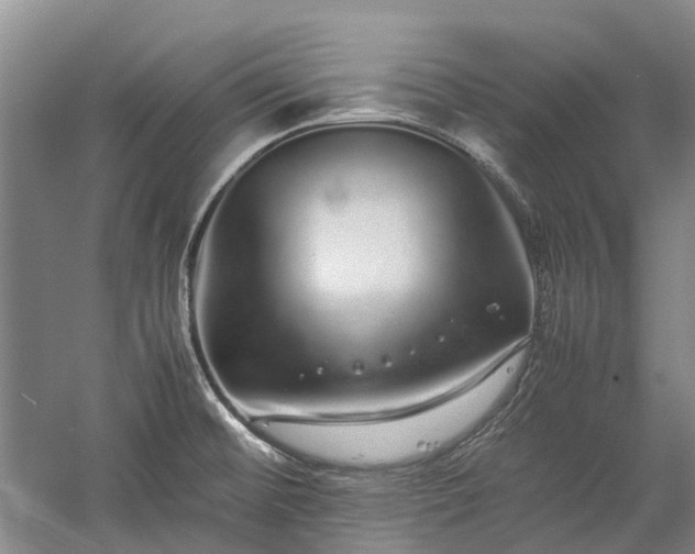 X0000060261476200510281152