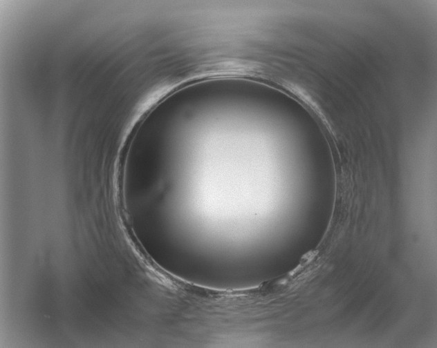 X0000060261477200510281152