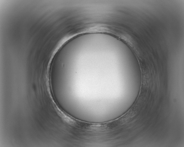 X0000060261478200510281152