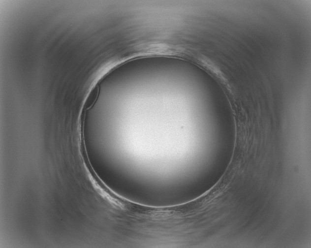 X0000060261479200510281152