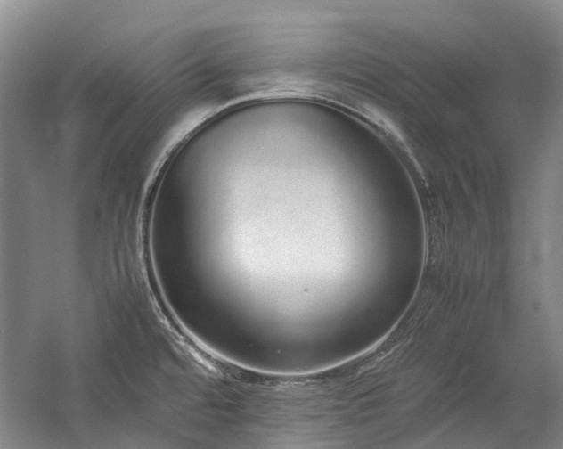 X0000060261480200510281152