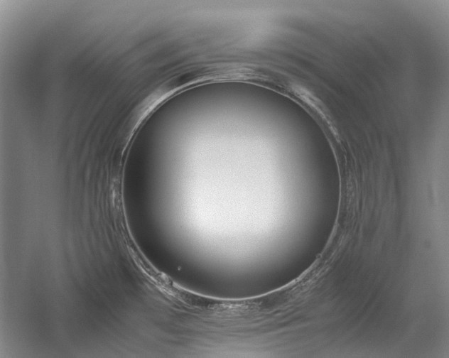 X0000060261481200510281152