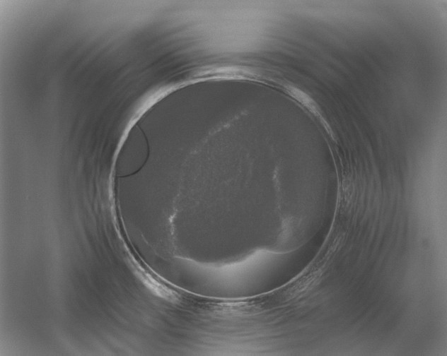 X0000060261482200510281152