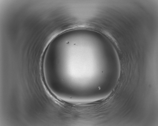 X0000060261483200510281152