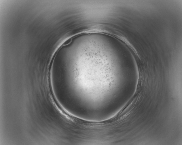 X0000060261484200510281152