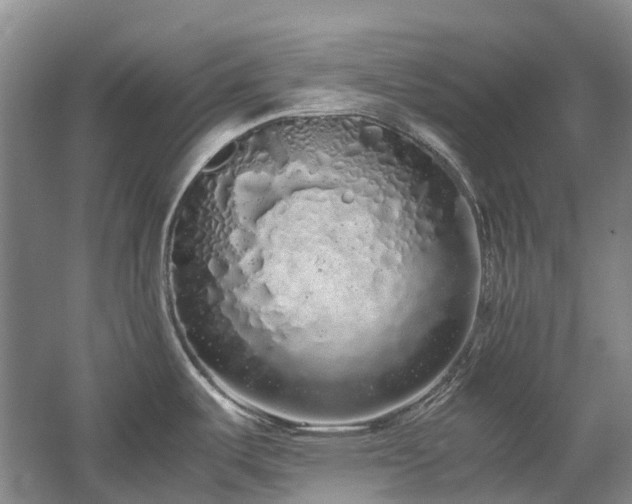 X0000060261487200510281152