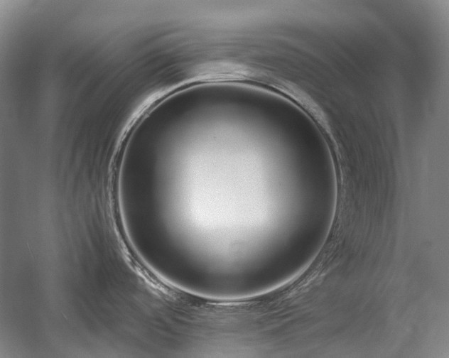 X0000060261488200510281152