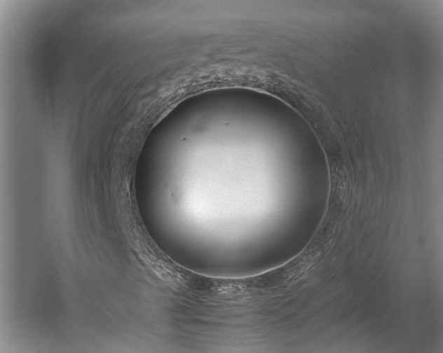 X0000060261489200510281151