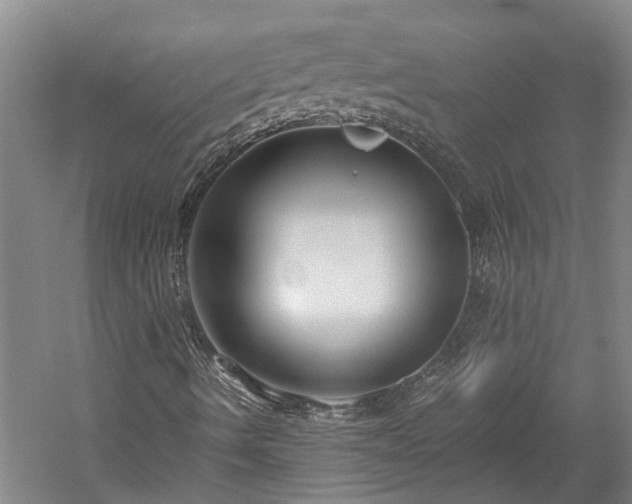 X0000060261490200510281151