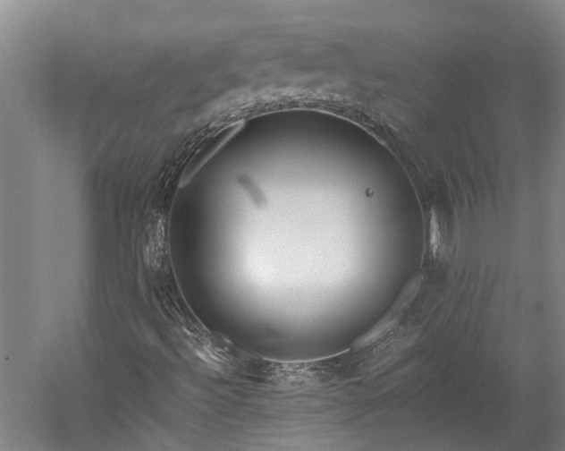 X0000060261492200510281151